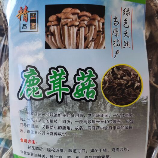 昆明鹿茸菇