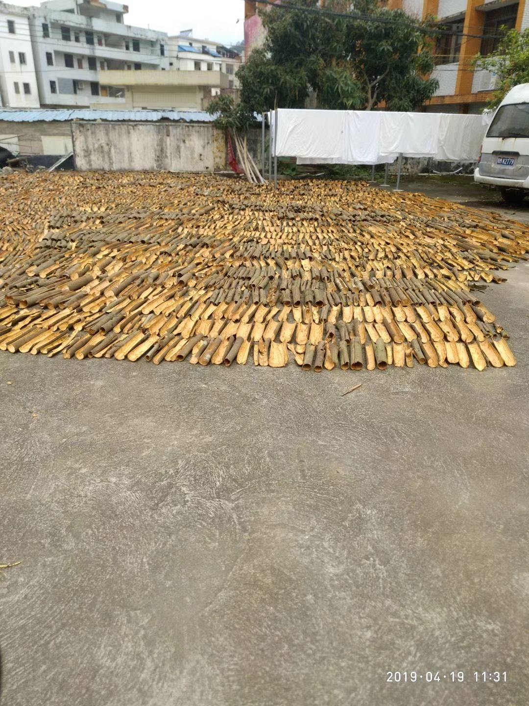 原产地桂皮，每年中产百万斤干桂皮