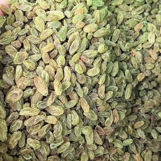 乌鲁木齐便宜葡萄干一件20斤 吐鲁番市葡萄干绿葡萄干 整件出 广州发货