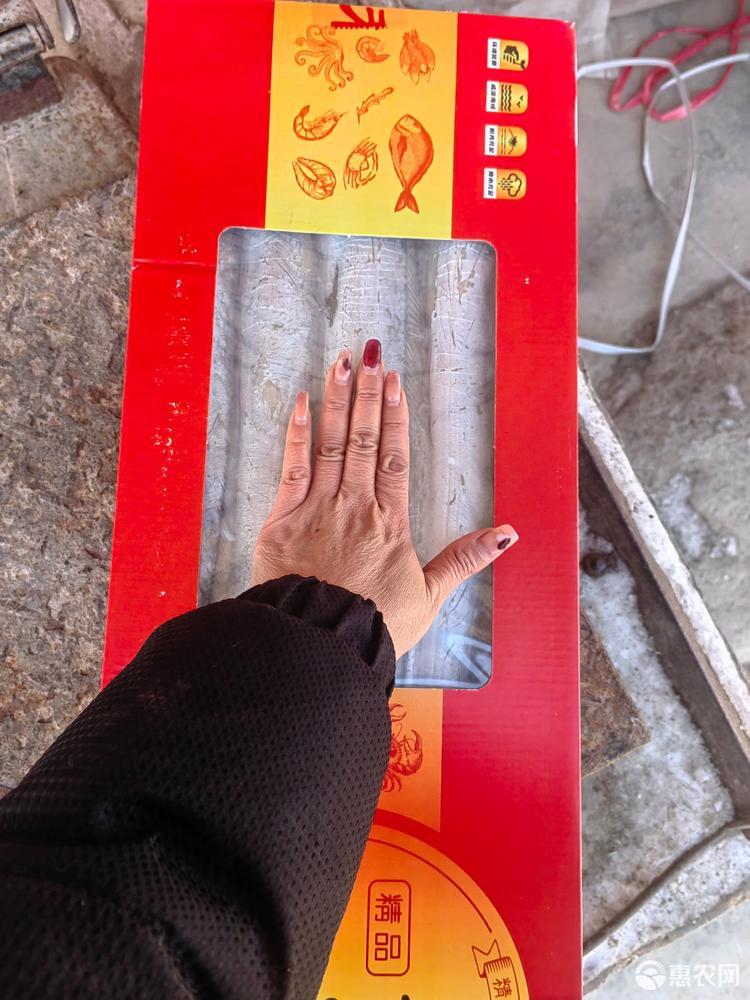 带鱼礼盒福利款4斤