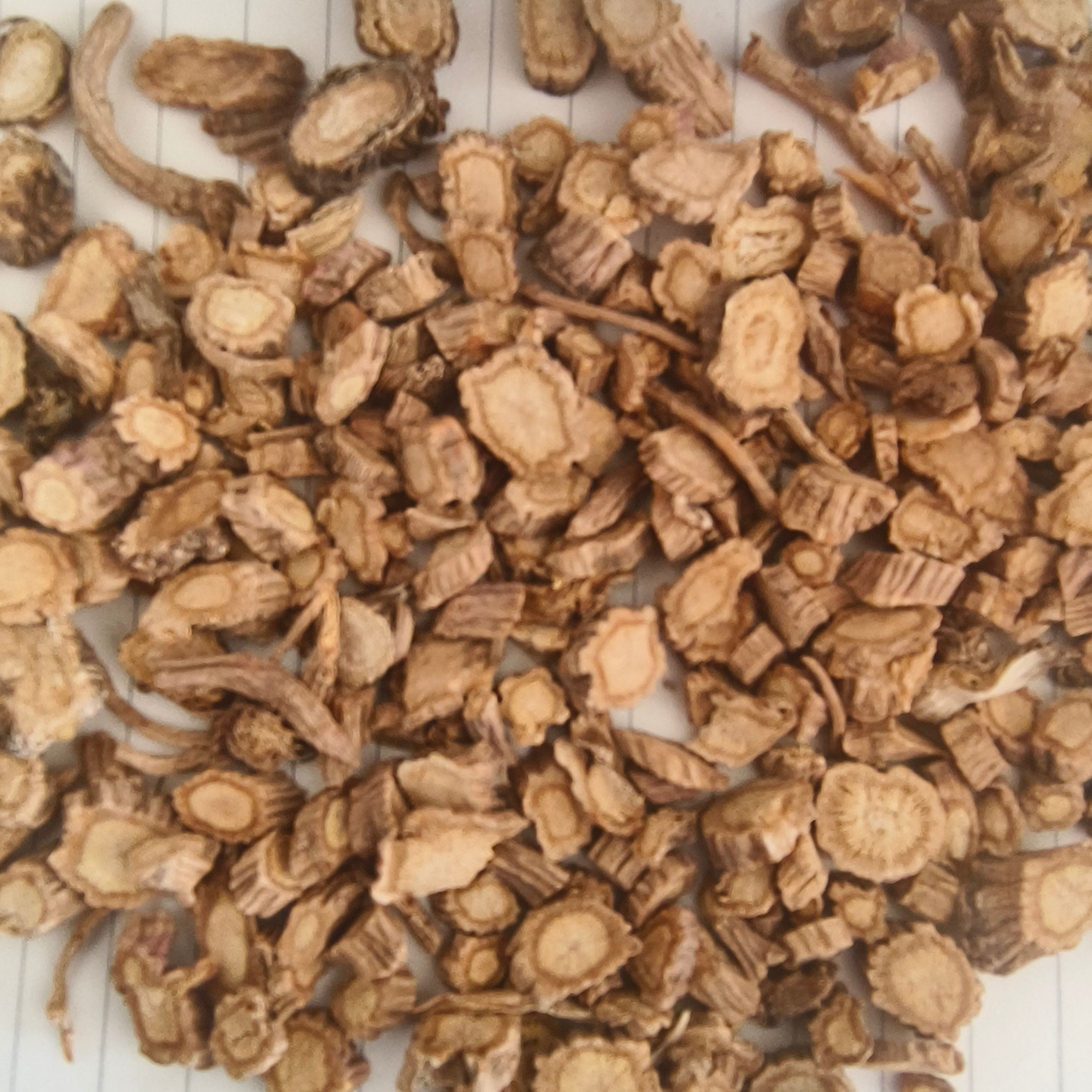 前胡 信前胡 同稳药材专业批发各种规格中药材品种齐全