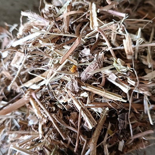 花生秧正在加工,抓紧联系,价格比较美丽