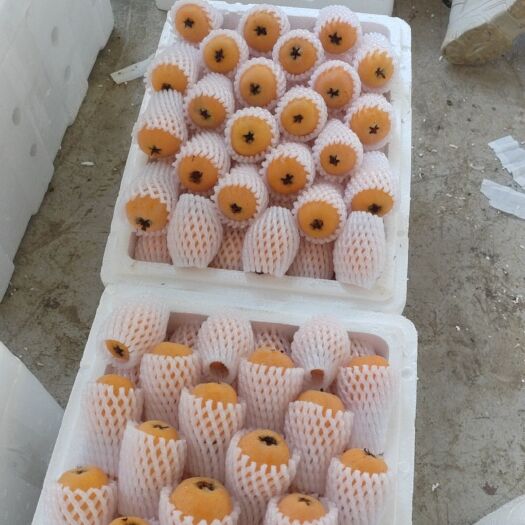 蒙自市枇杷大量现货，各种电商市场欢迎合作共赢