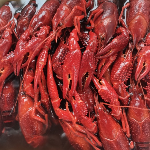 广州小龙虾，大闸蟹，田螺，黑鱼片