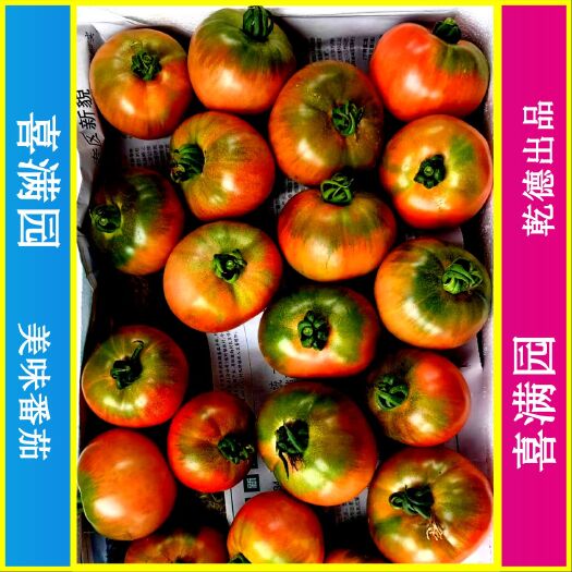 喜满园草莓番茄种子、秋延越冬早春品种、酸甜口感好、热销品种