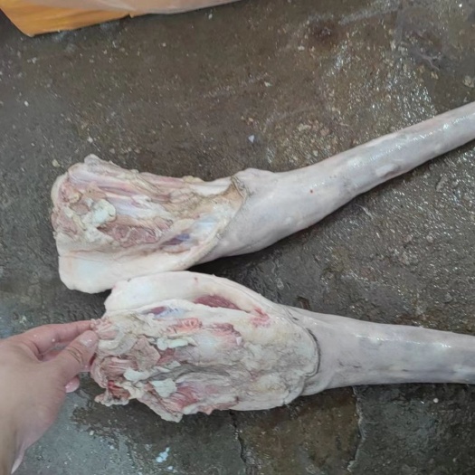 潮州精修鲜牛尾