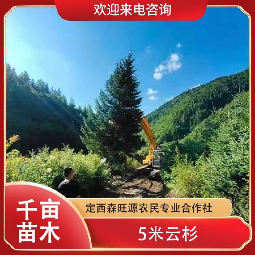 青杄