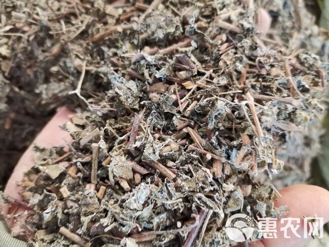 溪黄茶，全年有货供应，有意上的大老来电咨询下单