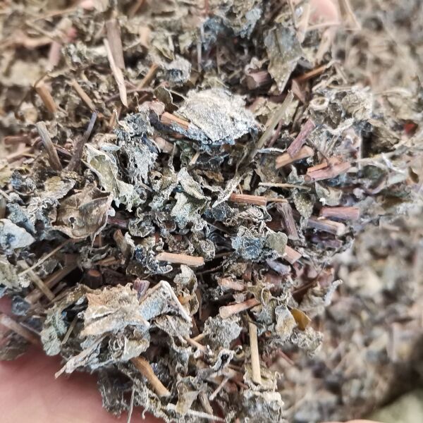 溪黄茶，全年有货供应，有意上的大老来电咨询下单