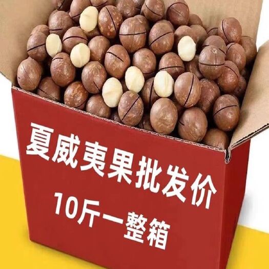 乌鲁木齐夏威夷果特大果一箱10斤 整箱出 新疆发货全国包邮带开口器