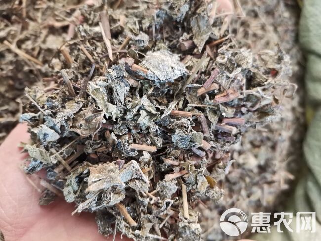 溪黄茶，全年有货供应，有意上的大老来电咨询下单