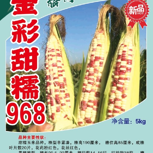 梅河口市鲜食甜糯玉米种子(10斤/袋) 3亩用量