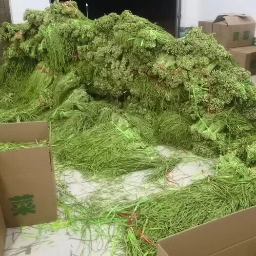 宾川县贡菜产地直销，