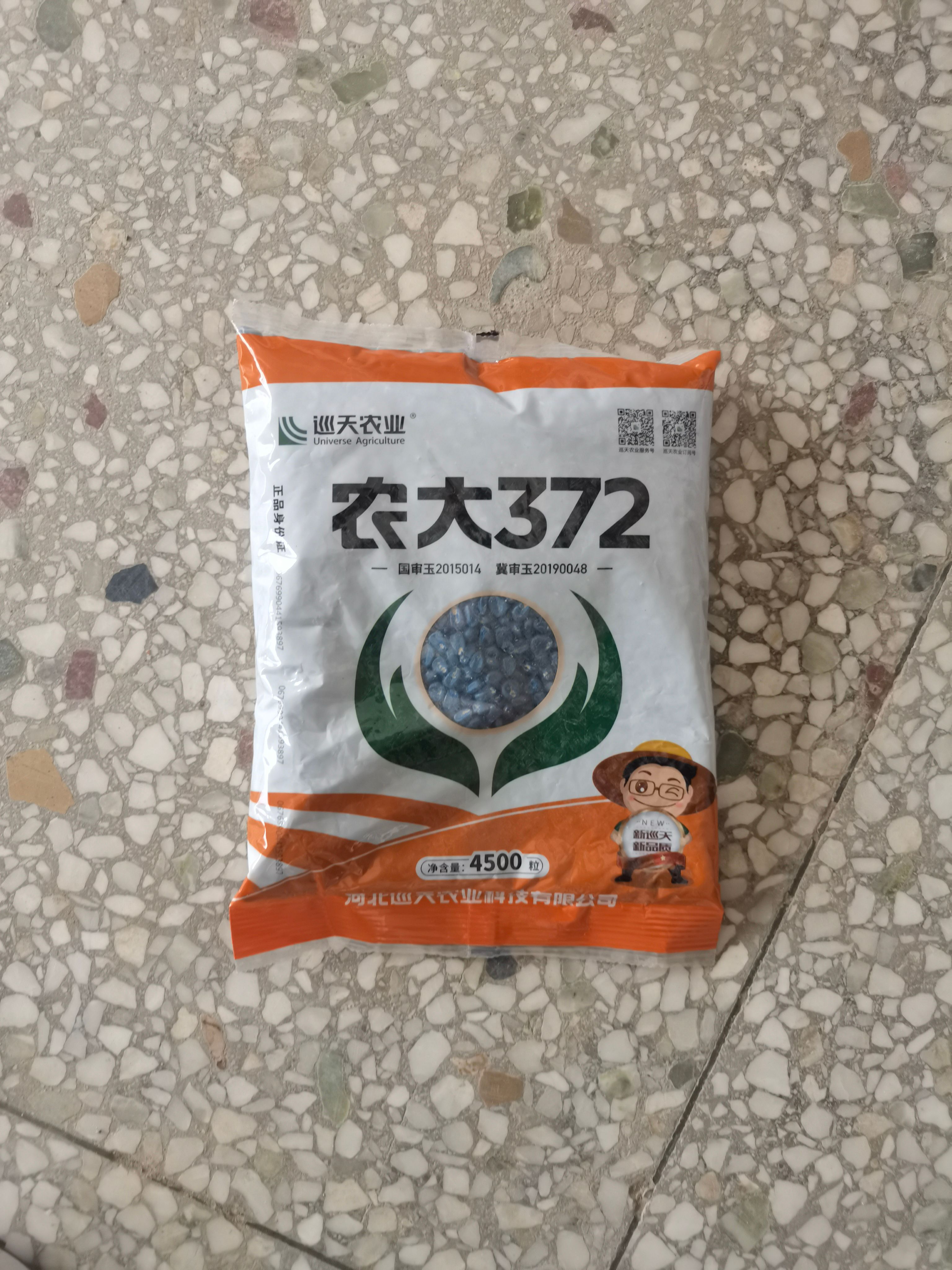 农大372国审大棒特大抗旱矮杆抗病抗旱耐涝红轴玉米种子