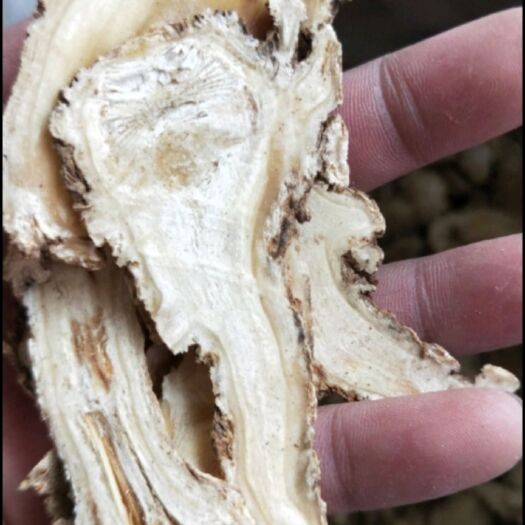 岷县甘肃岷县当归头片包邮当归黄芪500g包邮