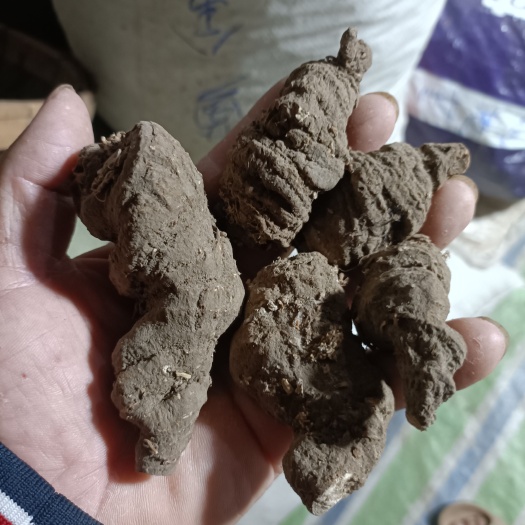 重楼，七叶一枝花，四川华重楼，大小个都有（基本大拇指以上）