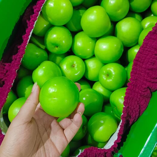 昆明云南省西双版纳苹果枣大量上市