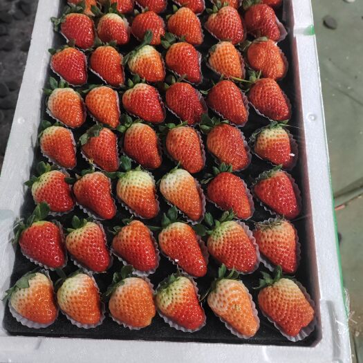 临沂妙香，联盟草莓 30克以上
