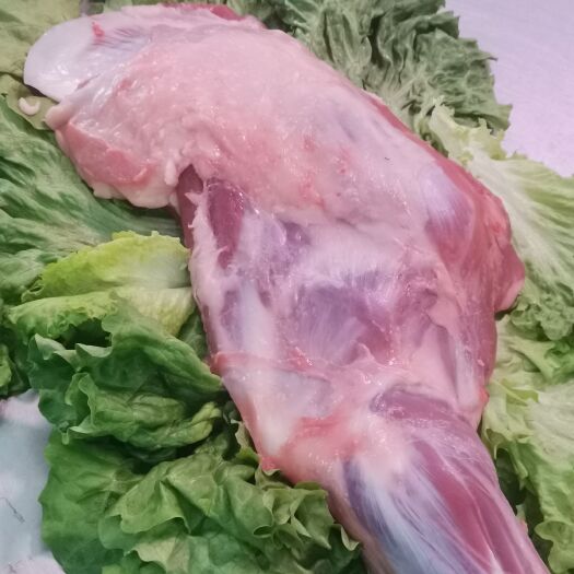 阿旗内蒙散养羊—羊腿
