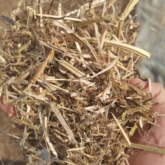 正阳县花生秧