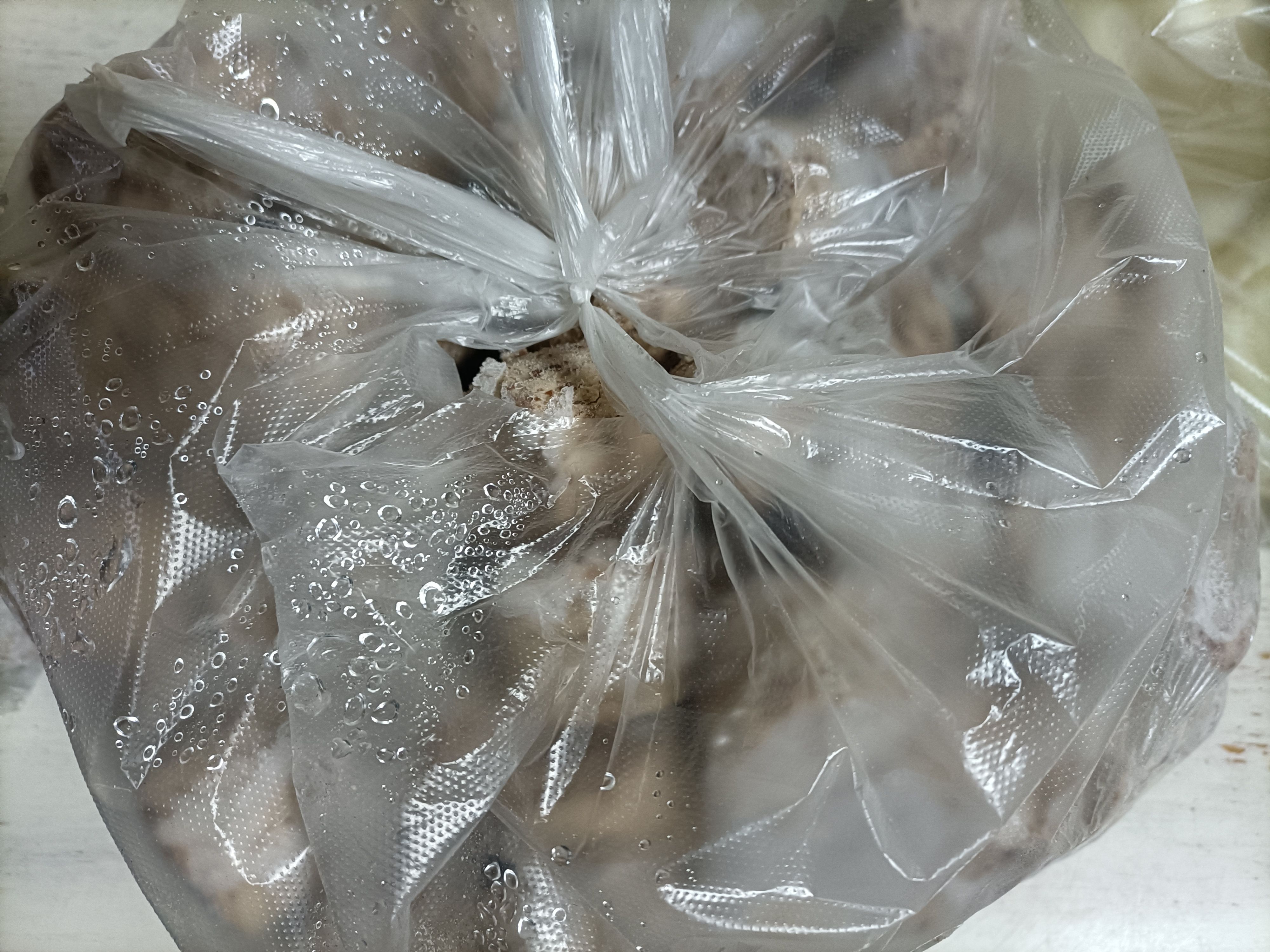 东北粘豆包，白色的，黄色的（发面时勾对玉米）