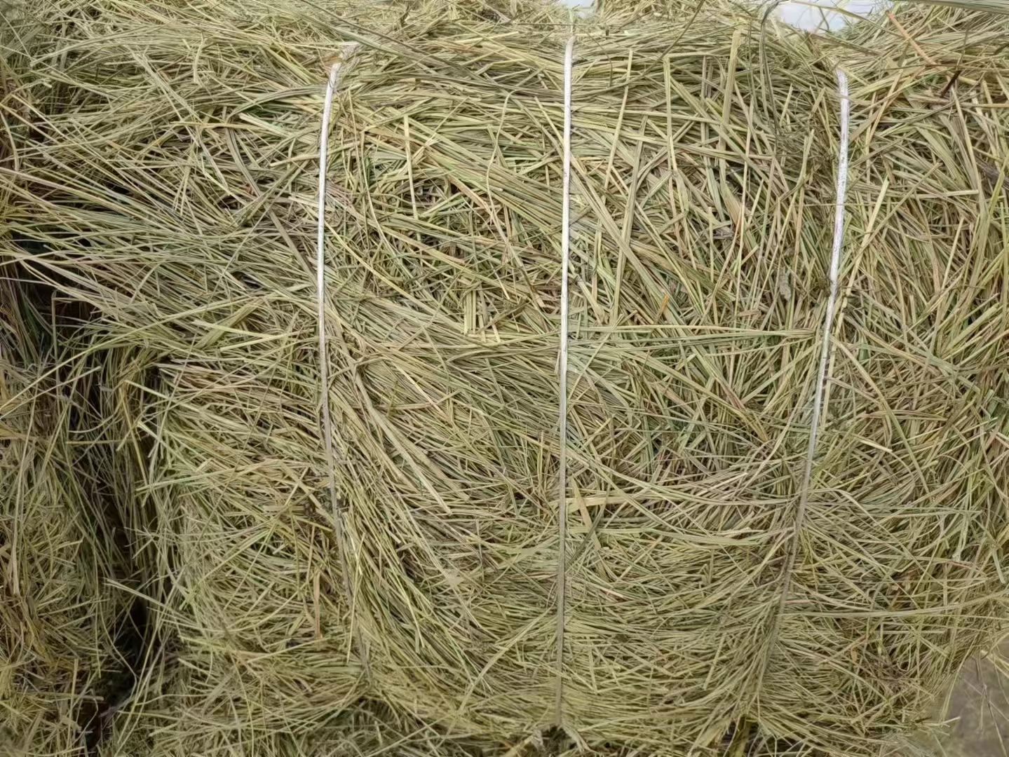 小方捆草