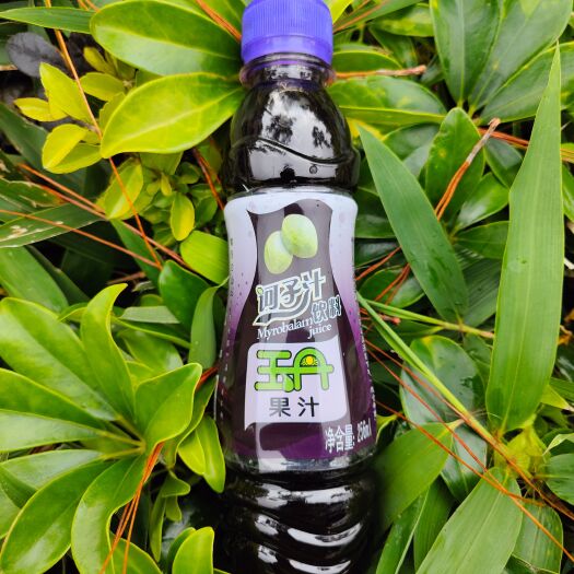 永德县诃子汁（滇橄榄汁）-云南特有野生植物饮