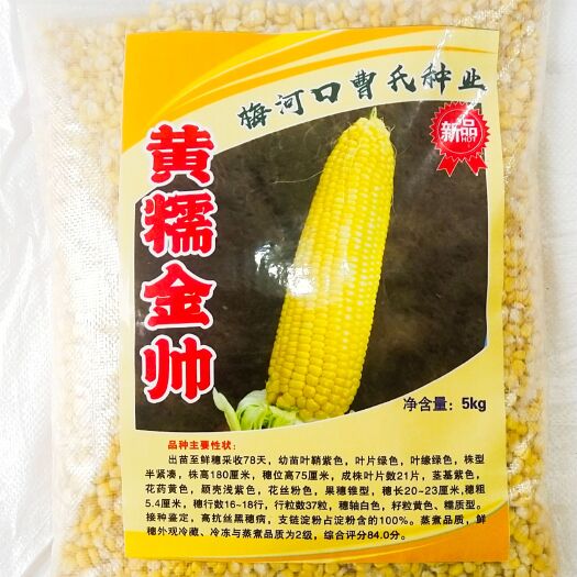 梅河口市黄金帅大棒鲜香2018口感