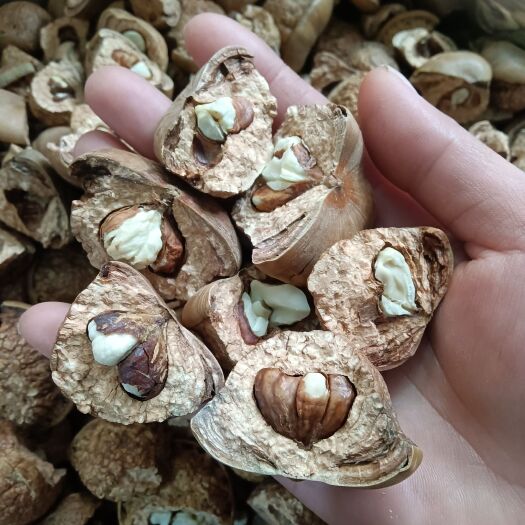 风流果，干货，果仁饱满