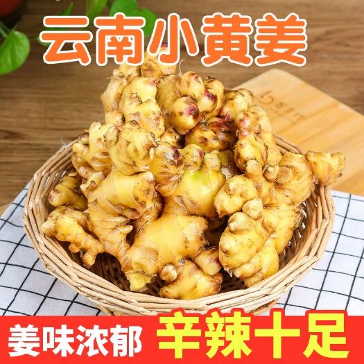 文山市生姜批发云南小黄姜新姜老姜月子姜姜仔姜种现挖新鲜蔬菜整箱批发