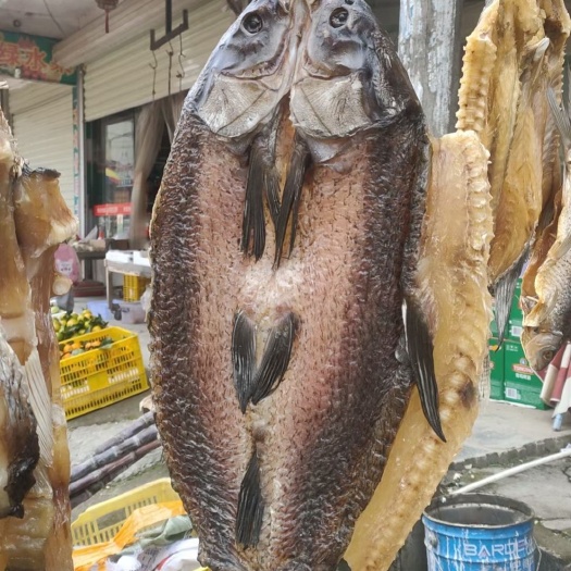 东源县河源市万绿湖水库大鱼干，小鱼干仔批发配送
