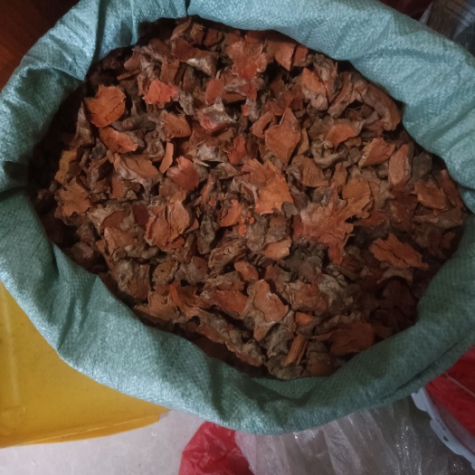 阳江金刚藤