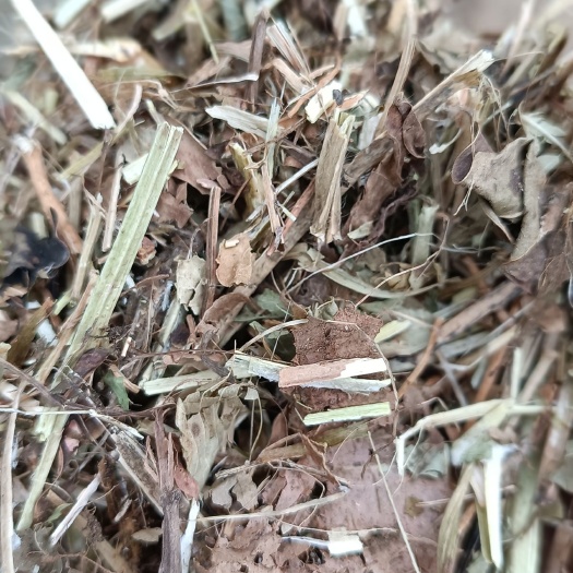 正阳县黄白绿花生秧开始加工啦干净利索干的扎手。要的联系。