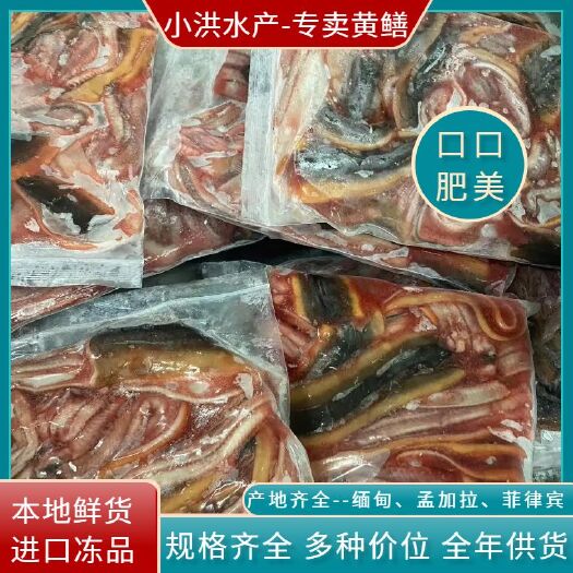 上海速冻鳝鱼片