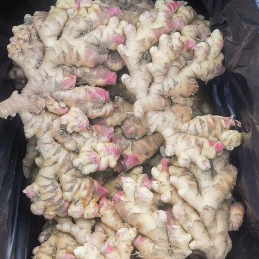 贵州生姜，大量有货，有需要的老板，可以随时联系