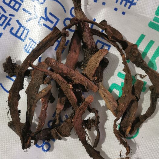 恩施市骨碎补