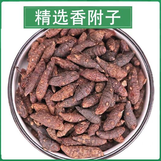 亳州香附中药材  醋制  香附个子 香附切片 规格齐全