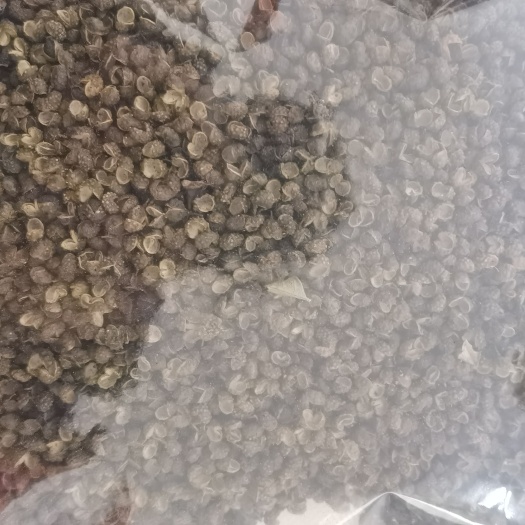 三台县干精品青藤椒。
