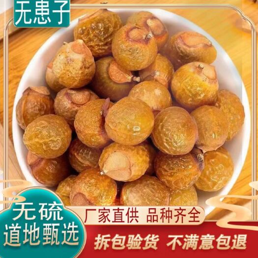 亳州中药材无患子  新货无硫 整个带核 去核 规划齐全 量大从优
