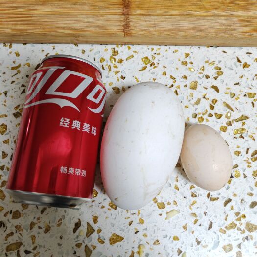 重庆市狮头鹅种蛋