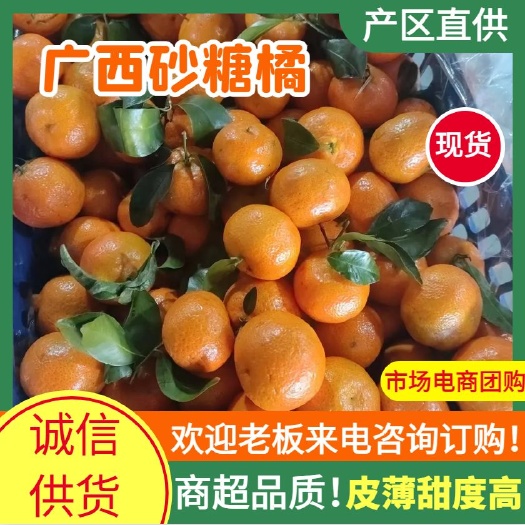 无棣县广西沙糖桔滨州发货社区团购市场一件代发