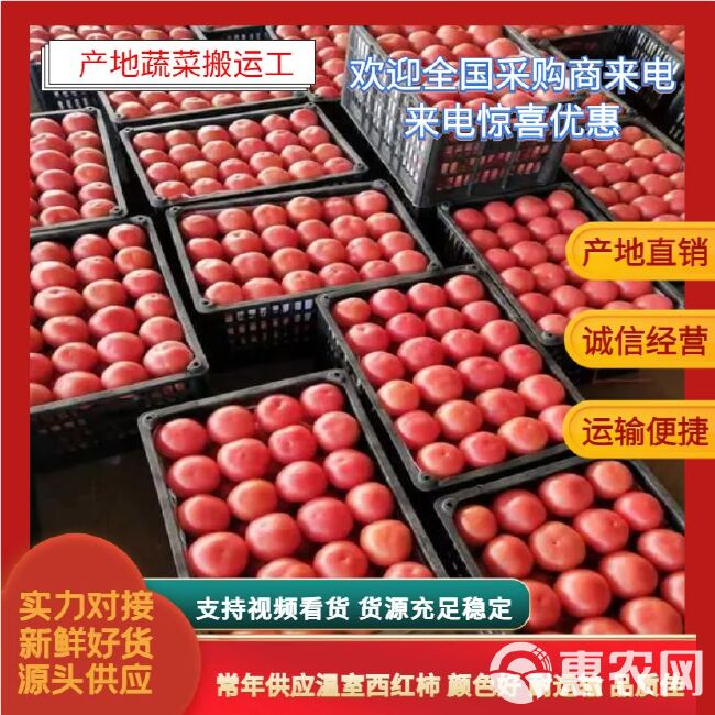 硬粉西红柿，常年供应温室西红柿，颜色好，耐运输，品质佳