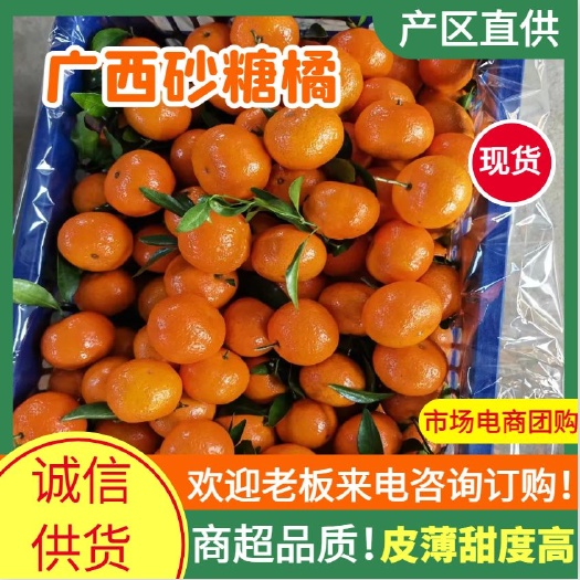 滨州广西沙糖桔一件代发社区团购山东滨州出货