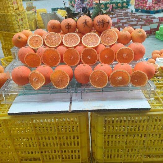 秭归县秭归九月红果冻橙