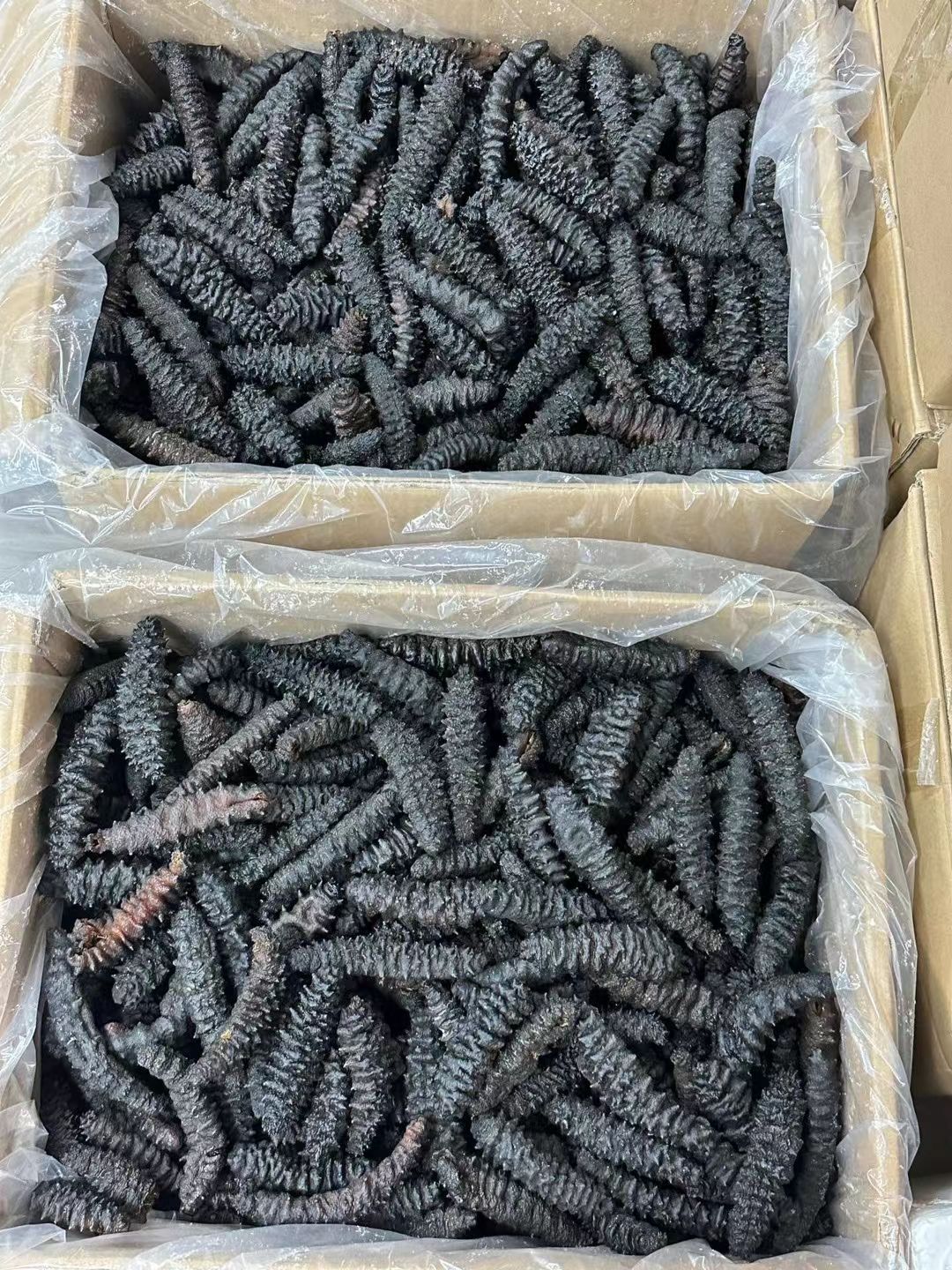 龙纹参爆款龙纹参价格便宜