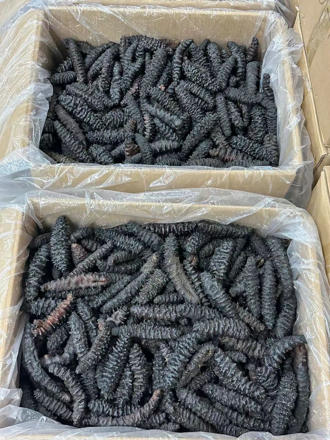 龙纹参爆款龙纹参价格便宜