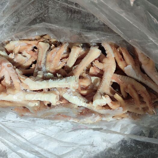 滑县红毛蛋鸡  鸡爪    白毛蛋鸡  鸡爪