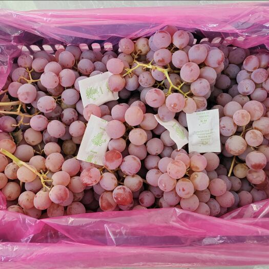 涿鹿县精品龙眼葡萄，9斤/11斤