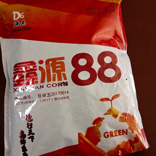 乌兰浩特鑫源88玉米种子，高收高抗