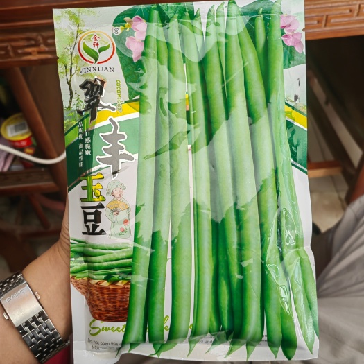 翠丰玉豆四季豆种子，耐热、抗寒、抗锈病,翻花力强丰产等优点